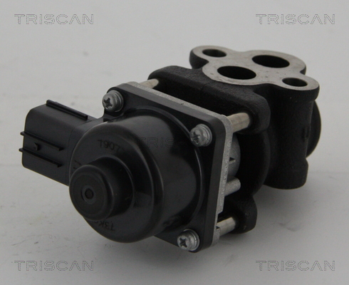 TRISCAN 8813 24033 Agr-Ventil