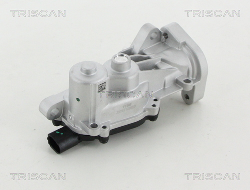 TRISCAN 8813 24040 Agr-Ventil