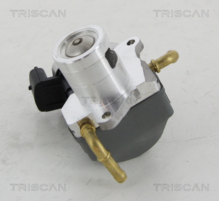 TRISCAN 8813 24046 AGR-Ventil