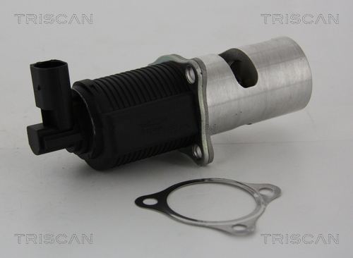 TRISCAN 8813 24055 AGR-Ventil
