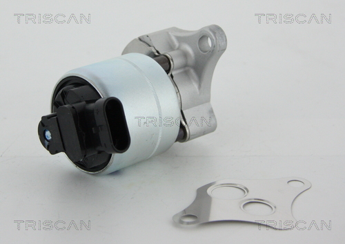 TRISCAN 8813 24063 Agr-Ventil