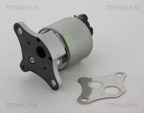 TRISCAN 8813 24081 Agr-Ventil