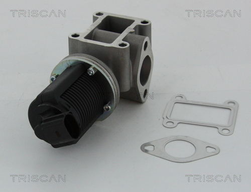 TRISCAN 8813 24082 Agr-Ventil