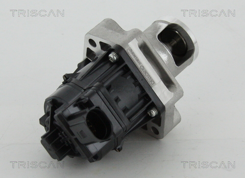 TRISCAN 8813 24083 AGR-Ventil