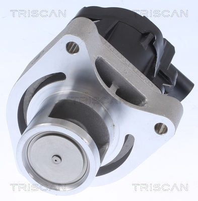 TRISCAN 8813 24084 AGR-Ventil