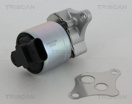 TRISCAN 8813 24100 AGR-Ventil