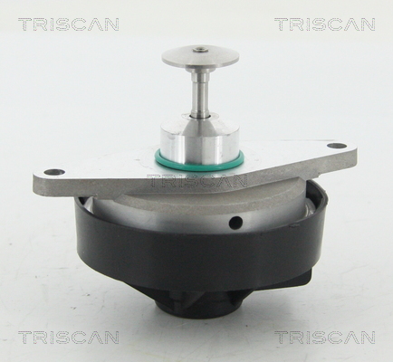 TRISCAN 8813 24103 Agr-Ventil