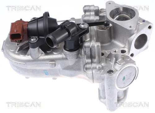 TRISCAN 8813 24104 Kühler, Abgasrückführung