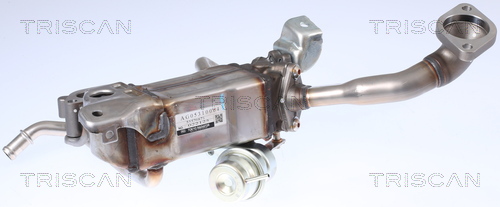 TRISCAN 8813 24105 Kühler, Abgasrückführung
