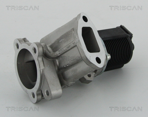 TRISCAN 8813 24204 Agr-Ventil