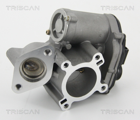 TRISCAN 8813 25010 AGR-Ventil