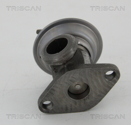 TRISCAN 8813 29011 Agr-Ventil