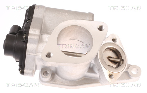 TRISCAN 8813 25012 AGR-Ventil