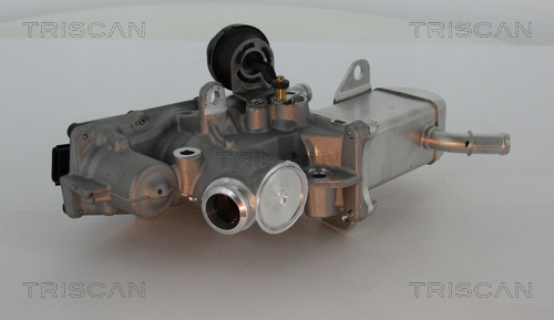 TRISCAN 8813 25013 AGR-Ventil