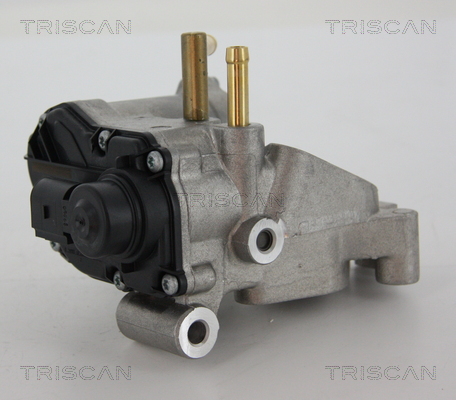 TRISCAN 8813 25018 AGR-Ventil