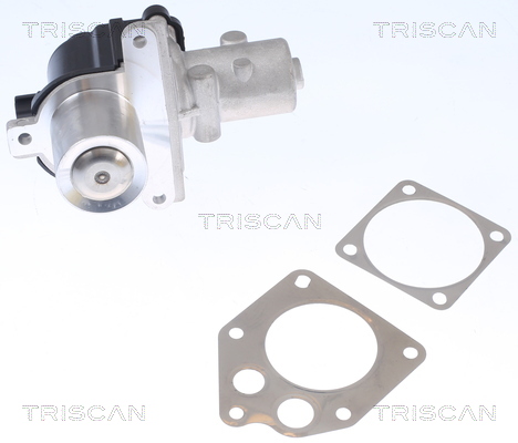TRISCAN 8813 25036 Agr-Ventil