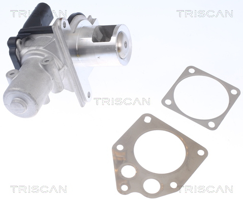 TRISCAN 8813 25036 Agr-Ventil