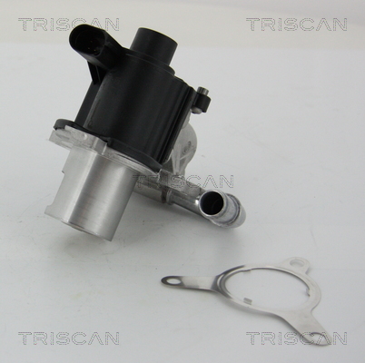TRISCAN 8813 25039 AGR-Ventil