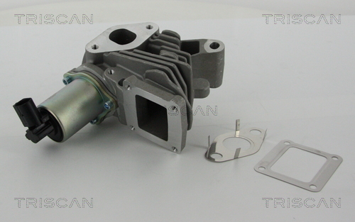 TRISCAN 8813 25100 AGR-Ventil