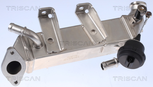 TRISCAN 8813 25104 Kühler, Abgasrückführung