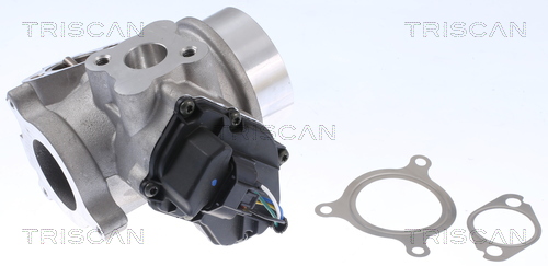 TRISCAN 8813 25200 AGR-Ventil