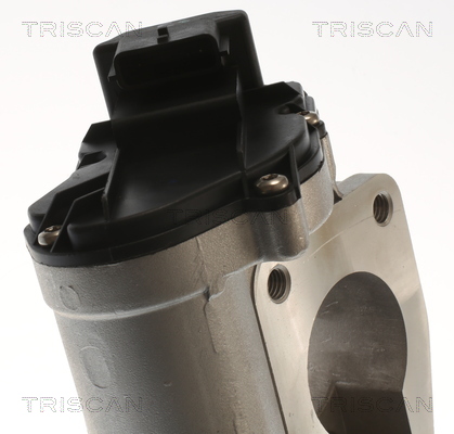 TRISCAN 8813 25201 AGR-Ventil