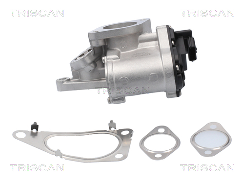 TRISCAN 8813 25201 AGR-Ventil