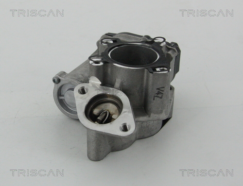 TRISCAN 8813 25203 AGR-Ventil