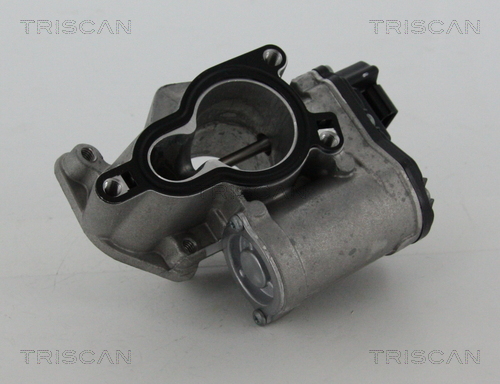TRISCAN 8813 25203 AGR-Ventil