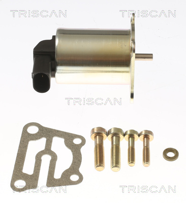 TRISCAN 8813 27009 AGR-Ventil