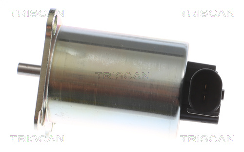 TRISCAN 8813 27009 AGR-Ventil