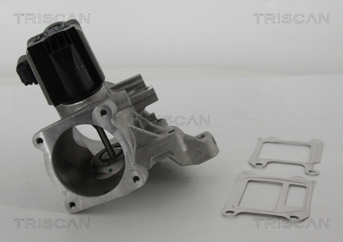 TRISCAN 8813 27102 AGR-Ventil