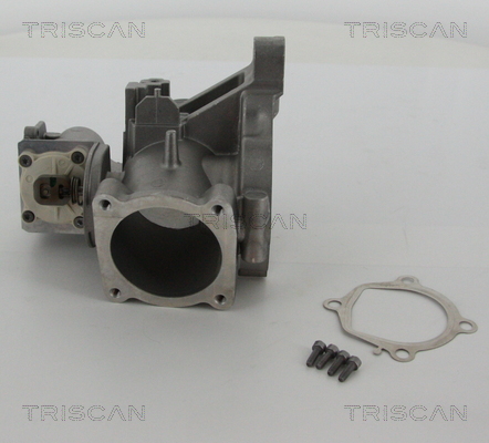 TRISCAN 8813 27103 Agr-Ventil