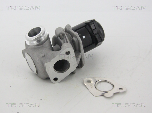 TRISCAN 8813 28003 EGR-ventil