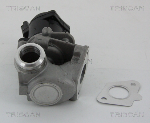 TRISCAN 8813 28003 EGR-ventil