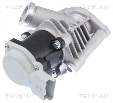 TRISCAN 8813 28028 Agr-Ventil