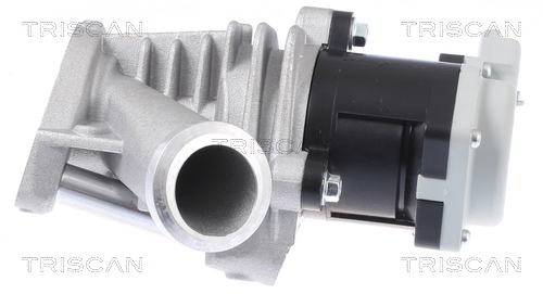 TRISCAN 8813 28028 AGR-Ventil