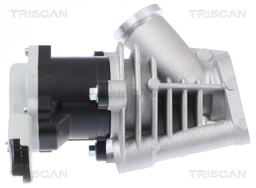 TRISCAN 8813 28028 AGR-Ventil