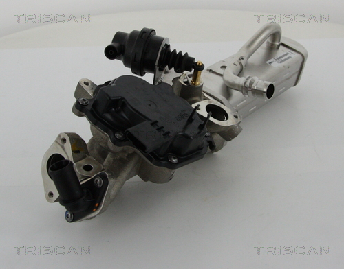 TRISCAN 8813 28044 AGR-Ventil
