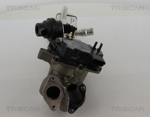 TRISCAN 8813 28044 AGR-Ventil