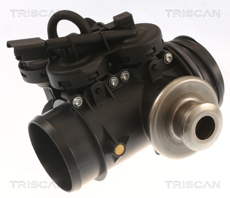 TRISCAN 8813 28045 Agr-Ventil