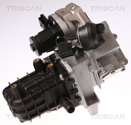 TRISCAN 8813 28046 Agr-Ventil