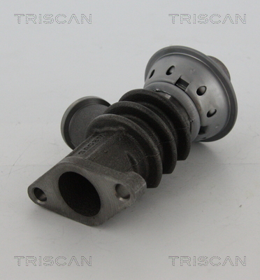 TRISCAN 8813 28100 Agr-Ventil