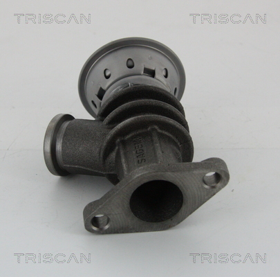 TRISCAN 8813 28100 AGR-Ventil