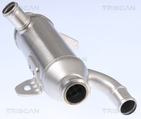TRISCAN 8813 28101 Kühler, Abgasrückführung