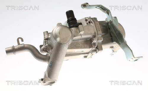 TRISCAN 8813 28108 AGR-Ventil