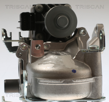 TRISCAN 8813 28108 AGR-Ventil