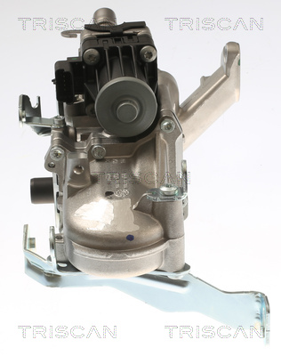 TRISCAN 8813 28108 AGR-Ventil