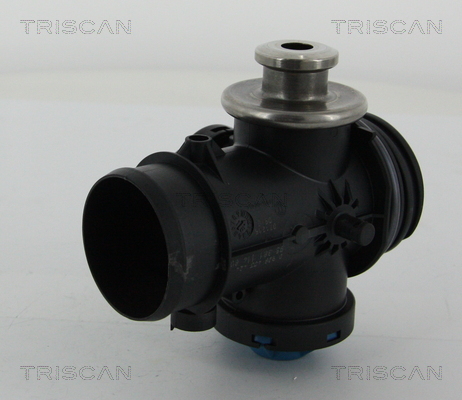 TRISCAN 8813 28200 AGR-Ventil