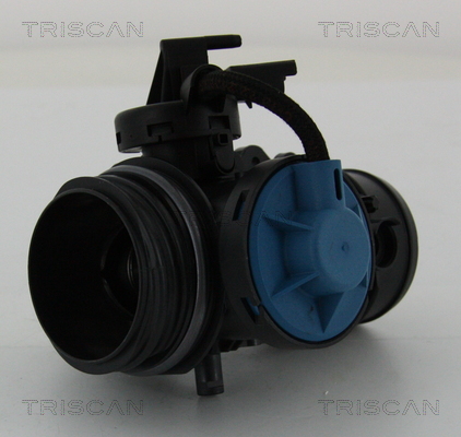 TRISCAN 8813 28200 AGR-Ventil